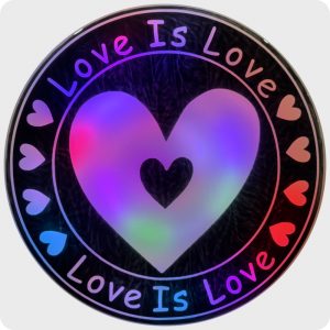 Shop 18 inch circle "love is love"